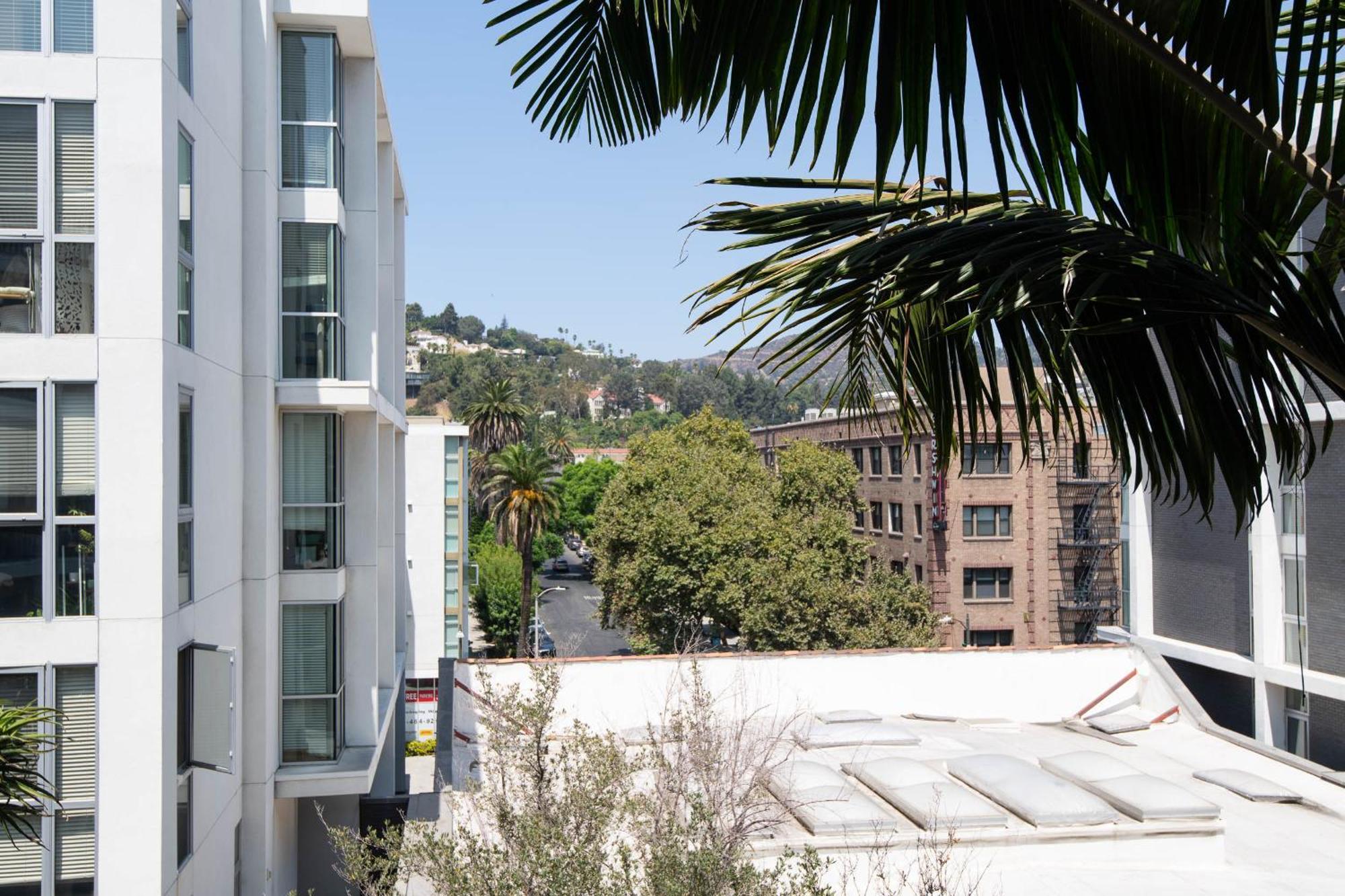Large 2 Bedroom 2 Bath In Hollywood
